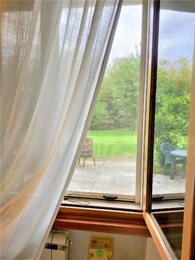 Casa Indipendente Pisaヴィラ エクステリア 写真